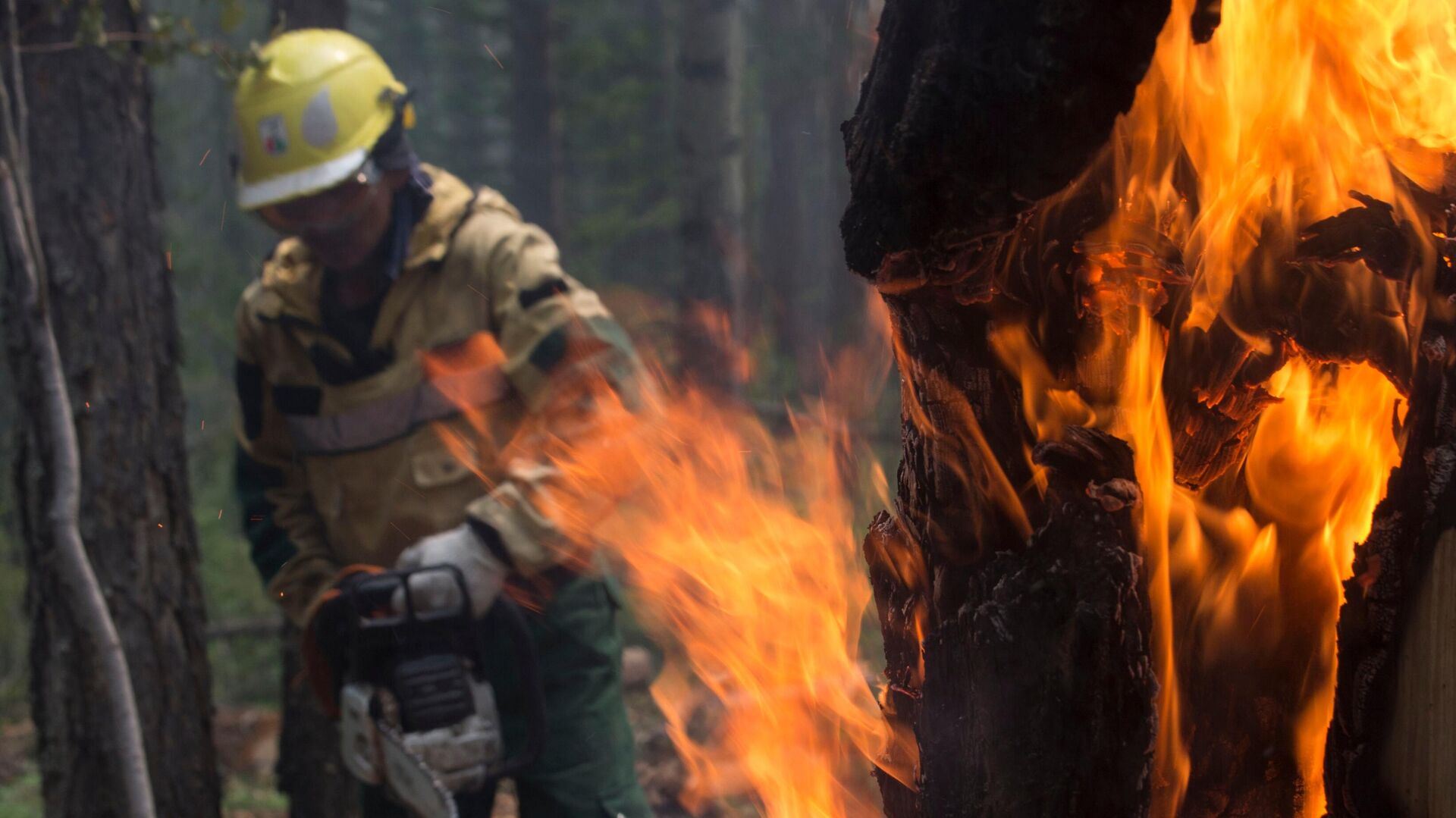 В Свердловской области от лесного пожара загорелись склады с порохом