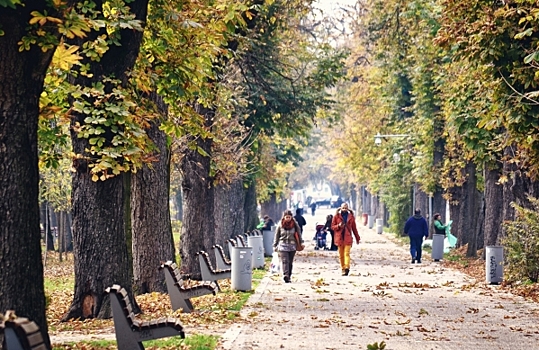 В память о героях СВО и погибших в Доме профсоюзов в Одессе высадят деревья