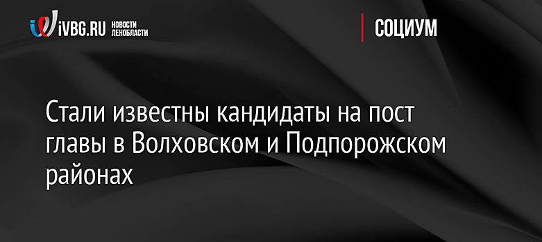 Стали известны кандидаты на пост главы в Волховском и Подпорожском районах