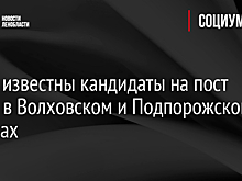 Стали известны кандидаты на пост главы в Волховском и Подпорожском районах