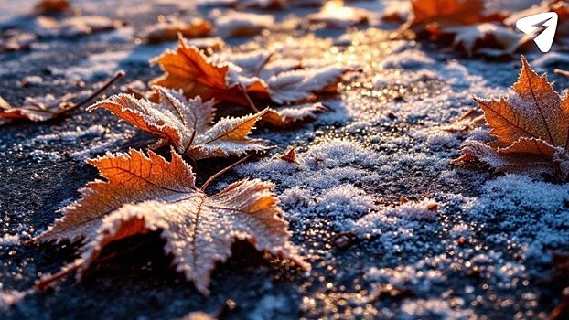 Ноябрь приходит в Киров с дождём и снегом