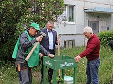 В кварталах Тольятти прибавилось деревьев