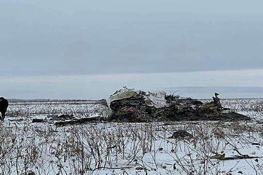 МО: Ил-76 с украинскими пленными потерпел крушение во время планового полета
