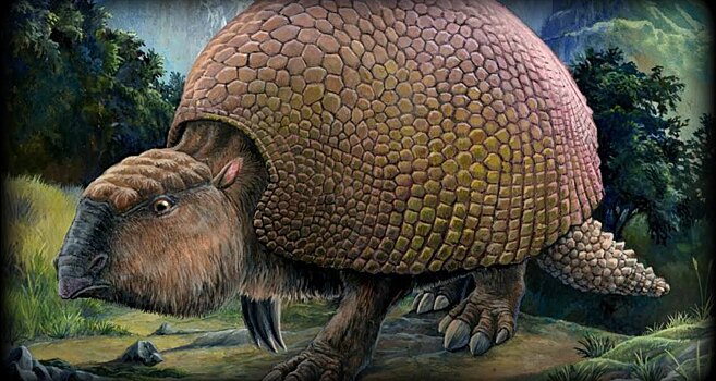 В Аргентине найдены четыре глиптодона