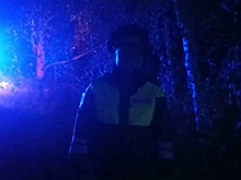 Водитель легковушки погиб, вылетев в кювет в Нижегородской области