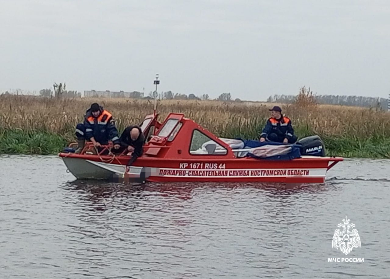 Пропавшего мужчину нашли мертвым под Костромой