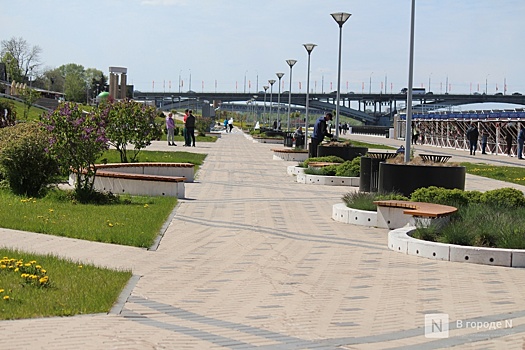 Нижегородца оштрафовали за езду по пешеходной дорожке