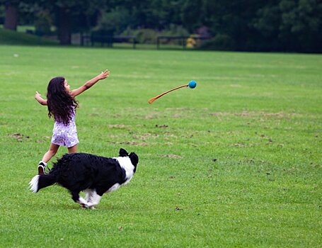 В Химках появилась самая большая площадка для выгула собак