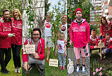 Дети Киркорова, Немова и Барановской посадили молодые деревья