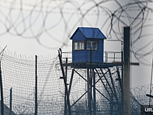 Омбудсмен Сапко: заключенные из Соликамска хотят отправиться на спецоперацию