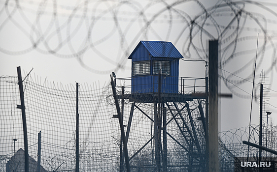 Омбудсмен Сапко: заключенные из Соликамска хотят отправиться на спецоперацию