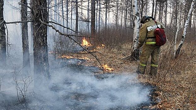 В Пермском крае объявили чрезвычайную пожарную опасность в лесах