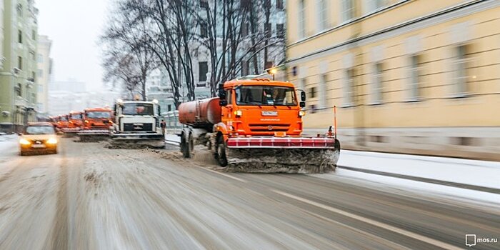 Прошедшая зима стала одной из самых снежных со времен царя-освободителя