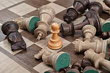 Сборные России и Белоруссии отстранили от международных турниров по шахматам