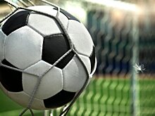 Швеция обыграла черногорцев в матче квалификации