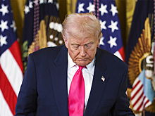 В США призвали Трампа согласиться на предложение Путина