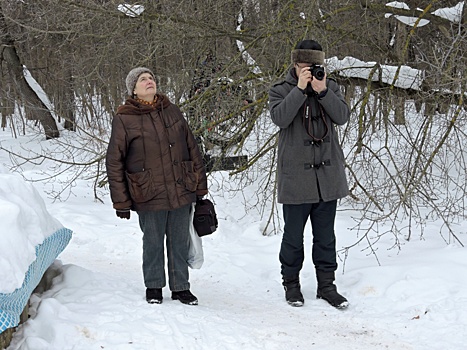 Серые вороны парка «Кузьминки-Люблино» ведут себя осторожно с орнитологами