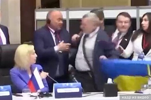 Тимофеева: Член делегации России, на которого напал украинец на саммите ПАЧЭС, чувствует себя хорошо