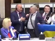 Тимофеева: Член делегации России, на которого напал украинец на саммите ПАЧЭС, чувствует себя хорошо