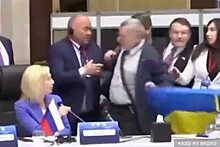 Тимофеева: Член делегации России, на которого напал украинец на саммите ПАЧЭС, чувствует себя хорошо