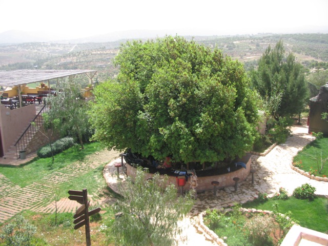 Клуб Mountain Breeze Country Club, Иордания, Ближний Восток