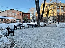 15 деревьев высадят в новом сквере в переулке Холодном в Нижнем Новгороде