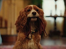 В Сети появился первый трейлер фильма "Леди и бродяга"