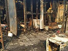 На Среднем Урале сгорел приют с десятками собак