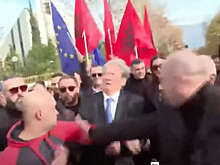 Неизвестный ударил экс-президента Албании Беришу кулаком в лицо на акции протеста