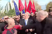 Неизвестный ударил экс-президента Албании Беришу кулаком в лицо на акции протеста