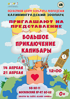 В поисках друзей и любви: в Калининграде представят спектакль о приключениях капибары