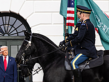 Трампу предложили «подкрепить» армией США новый план по Украине
