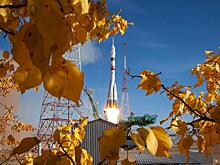 Жизнь, спорт, самбо – не остановить