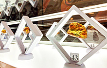 В Калининграде впервые выставили на аукцион янтарные самородки с инклюзами