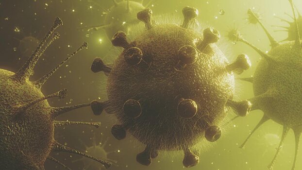 Ученый из Германии заявил об искусственном происхождении коронавируса