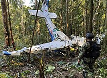 Четверо детей 40 дней выживали в джунглях без взрослых после авиакатастрофы: душераздирающие подробности и первые фото