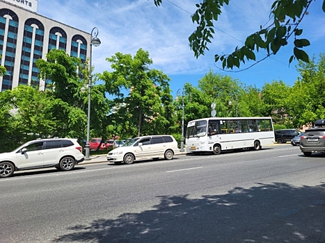 Во Владивостоке парень распылил в автобусе перцовку: пассажиры начали задыхаться
