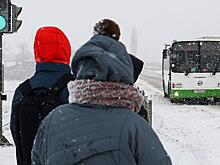 Цена реформы местного самоуправления: Проезд во Владимирской области подорожал в 2-3 раза