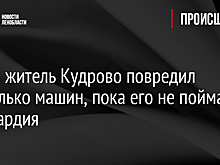 Голый житель Кудрово повредил несколько машин, пока его не поймала Росгвардия