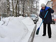 Внезапные проверки начала комиссия городского конкурса «Лучший дворник»