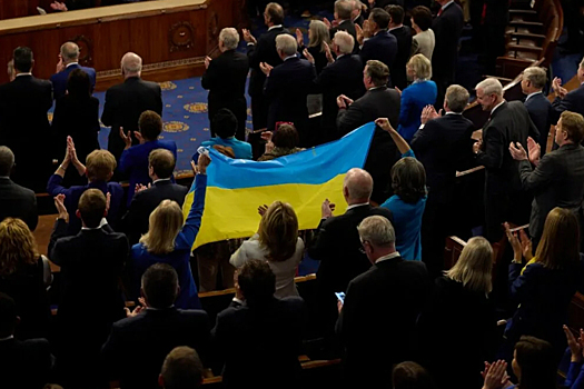 Демократы и республиканцы поспорили в конгрессе США из-за флагов Украины
