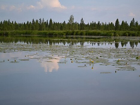 В Усть-Лабинске группа молодых людей заставила несовершеннолетнюю раздеться на берегу озера