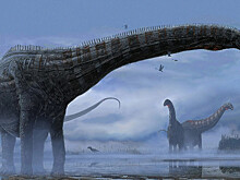 Ученые выяснили, что гигантские длинношеие динозавры ходили, как никто на Земле