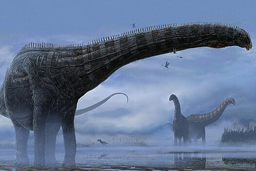 Ученые выяснили, что гигантские длинношеие динозавры ходили, как никто на Земле