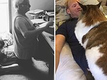 «Короли положения»: 11 наглых котов, которые прогибаются только тогда, когда нужно почесать спинку, в остальных случаях «прогибаются» хозяева