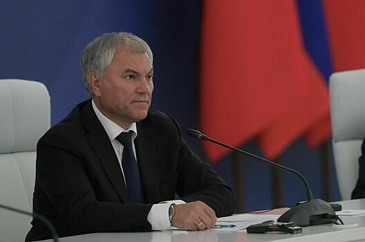 Число посетивших РФ иностранных парламентских делегаций за год выросло втрое