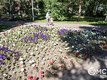 В Омске на месте ветхого жилья могут появиться скверы