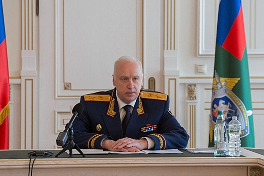 Председатель СК России поручил доложить о проверке по факту противоправных действий в отношении школьницы в Новосибирской области