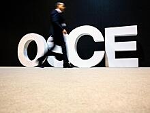 Делегаты покинули заседание ОБСЕ на выступлении представителя Белоруссии