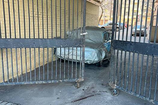 Россиянину вынесли приговор за расправу над женщиной в машине Гоши Куценко